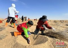香港“小孩哥”与甘肃大漠的 “十年之约”