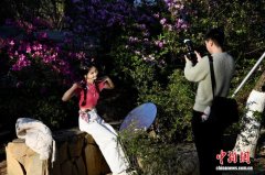 福州琴亭湖公园杜鹃花盛开迎客